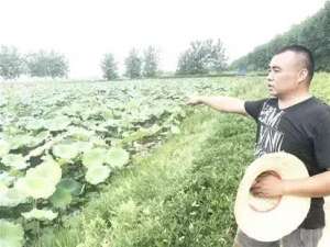 济南鲁明生态养殖园(虾居荷下豆作粮——在汉川鲁明种养殖家庭农场看生态循环农业)