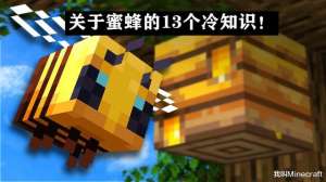 minecraft养殖(Minecraft蜜蜂养殖指南：关于蜜蜂，你可能不知道的13个冷知识)