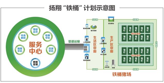 不仅是猪上楼这么简单，广西“铁桶猪场”如何稳产保供