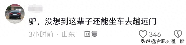 年销量上千头，山东大哥直播间卖活驴运到广西！网友：发的哪家快递？