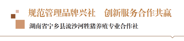 规范管理品牌兴社 创新服务合作共赢——湖南省宁乡县流沙河牲猪养殖专业合作社