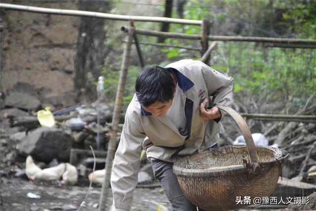 洛阳小伙为帮村里63户老人，建养鸡场卖鸡蛋，进一趟城120里