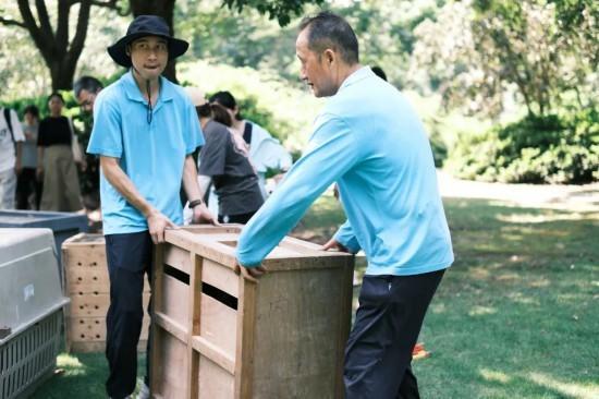 促进生物野外种群恢复，它们被放归重回故里！