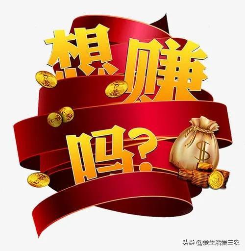 收益高，销路不愁的养殖项目有哪些？这里有答案