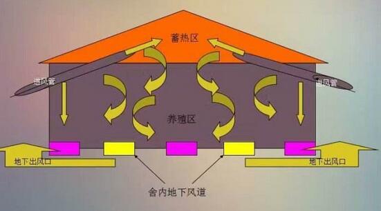 鸡舍温度很重要，但是，很多养鸡户不知道什么是正确的温度！