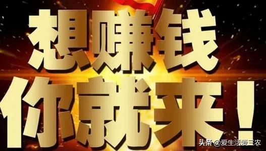 新兴养殖项目——丁桂鱼养殖，投资小、收益高，值得您参考！