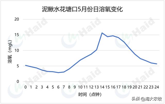 一天跌一块！2023年泥鳅养殖还有希望吗？