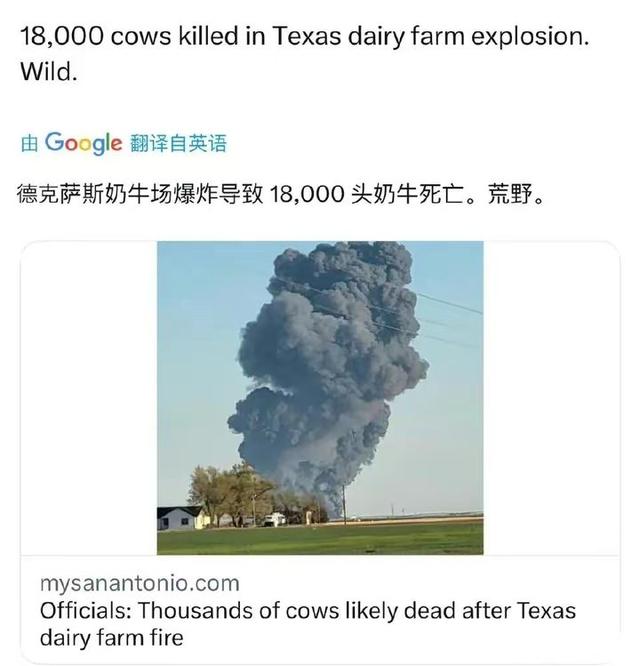 美国出现牛群大规模死亡事件，18000头牛在一大型奶牛场中被炸死