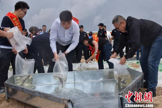 黑龙江发展“放牧式”生态养殖 让“龙江鱼”走向全国