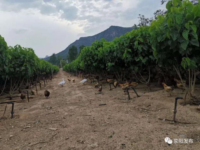 环翠峪：观漫山红叶 寻乡土宝物