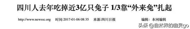 四川每年消耗3亿只兔子，兔子跟不上繁衍速度？事实并非如此