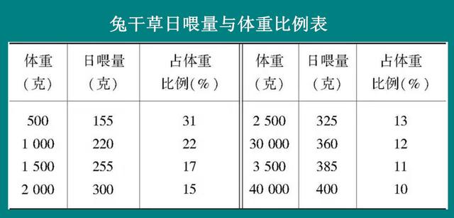 养兔技术｜饲养兔应该掌握的七个原则