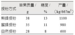 熊蜂一出，谁与争锋？蜜蜂都甘拜下风！有点贵，但草莓用了不亏