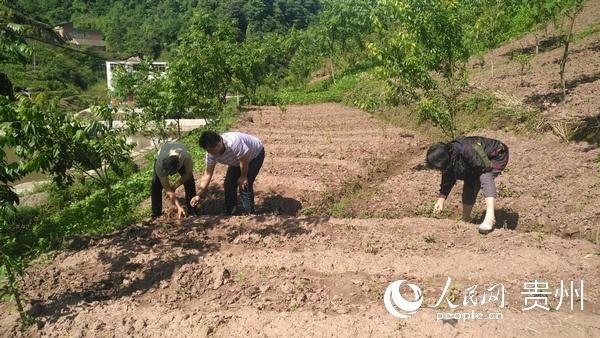 遵义税务人：携手同攻坚 共圆致富梦