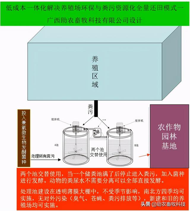 这个猪场采用现代生态循环养殖模式，养殖粪尿水全量还田种植牧草