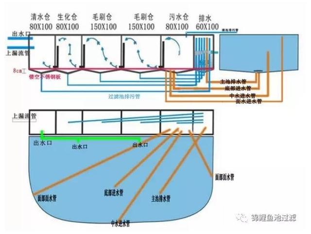 庭院鱼池、景观水体过滤系统——过滤池篇