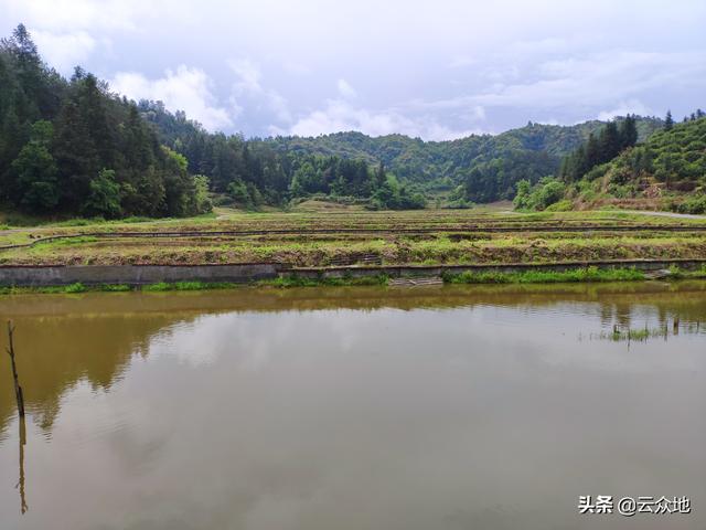 稻鳖综合种养，如何种养出高品质的稻谷和甲鱼？掌握关键技术要点