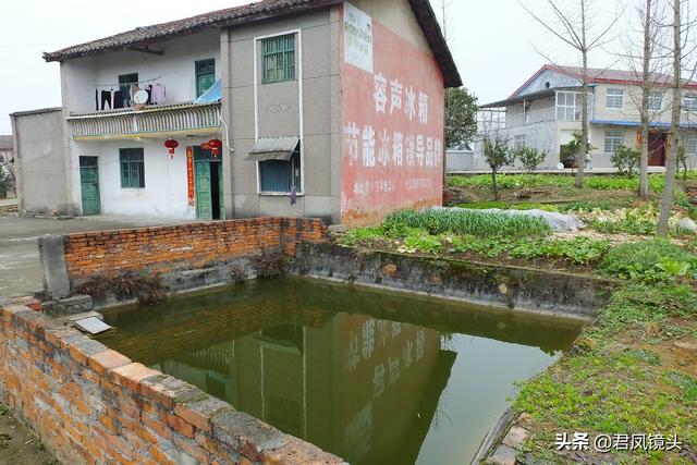 ​影像乡村：宜昌农家庭院饲养土鸡，堆放柴禾；冰箱广告刷在墙上