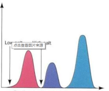 网箱放养及最佳放养量，对匙吻鲟的生长与产量有什么影响？