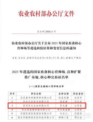 苏太猪养殖技术(江苏首家苏太猪育种保种基地成为国家级生猪核心育种场)