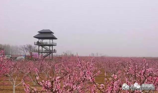 南阳“后花园”九架孤山，独山，紫山，蒲山……你知道多少？如今只剩.....