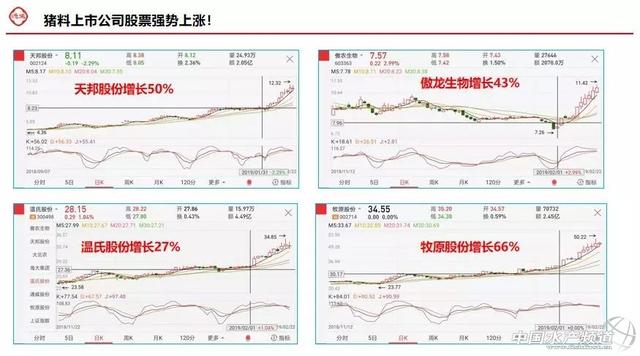 一线专家教你科学规划养殖，赶上好鱼价！