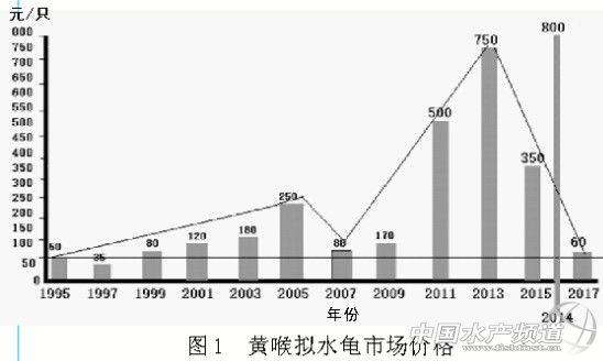 我国养龟业的现状与今后发展思路与建议