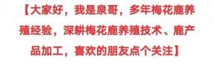 水鹿养殖(如何养好梅花鹿2：我国养鹿业现状，历史、品种、保健及营销现状)