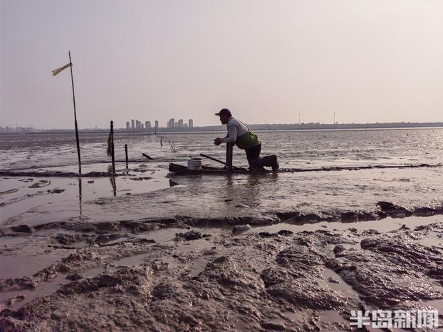 桂东出海记丨策“马”养鲜，跋涉泥滩！海上“骑马”，探访蚬子养殖户的忙碌一天