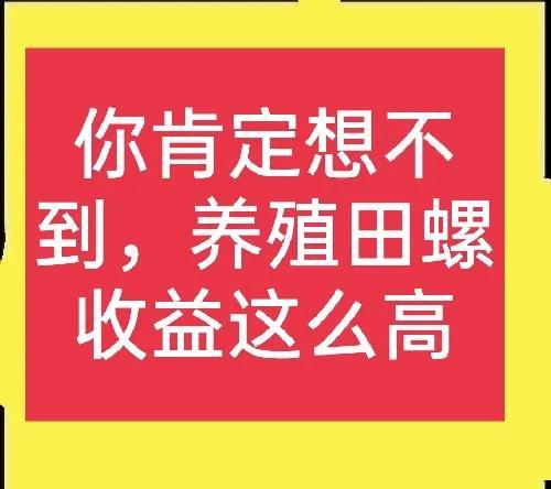 田螺养殖亩产能2-4万元是真的吗？养殖田螺需要注意什么？