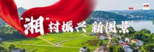 稻虾养殖模式(“湘”村振兴新图景丨 稻虾种养新模式 助农增收新路径)