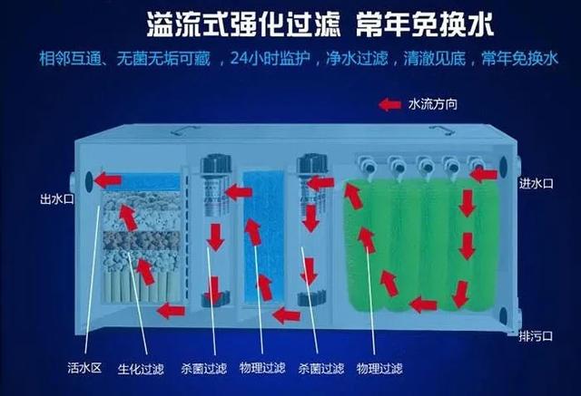 惊艳了时光的锦鲤鱼池设计：带你看看庭院锦鲤梦是如何实现的