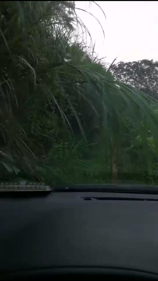 翻山越野来打龟，厉兵秣马换得空空而望