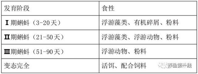 养殖牛蛙，不得不初步了解一下牛蛙的知识：形态特征和生态习性