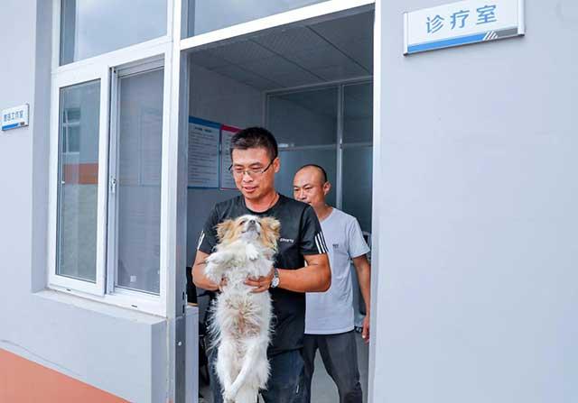 记者探访青岛市犬只收养服务基地 想养狗狗这儿可以免费领养