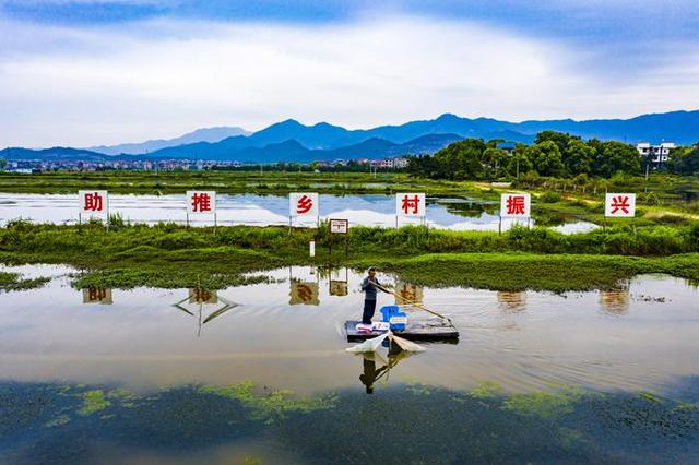 一田双收 江西稻虾共作“钱”景看好