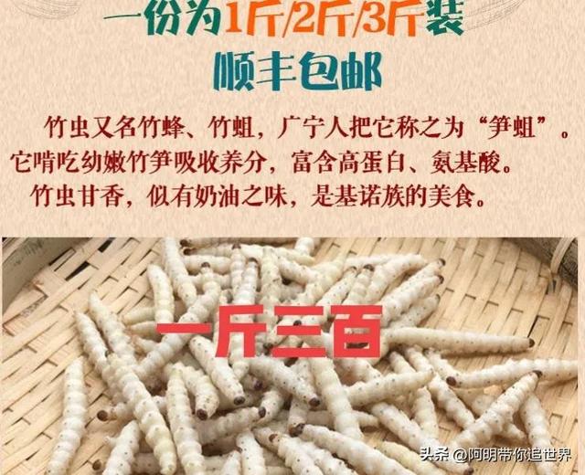 一种可以吃的虫子，一斤可以卖到三百元，就这还是有价无市的