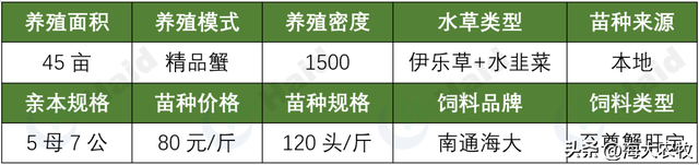 兴化冯老板连续多年精品蟹养殖，今年再次成功，背后的支撑点是？