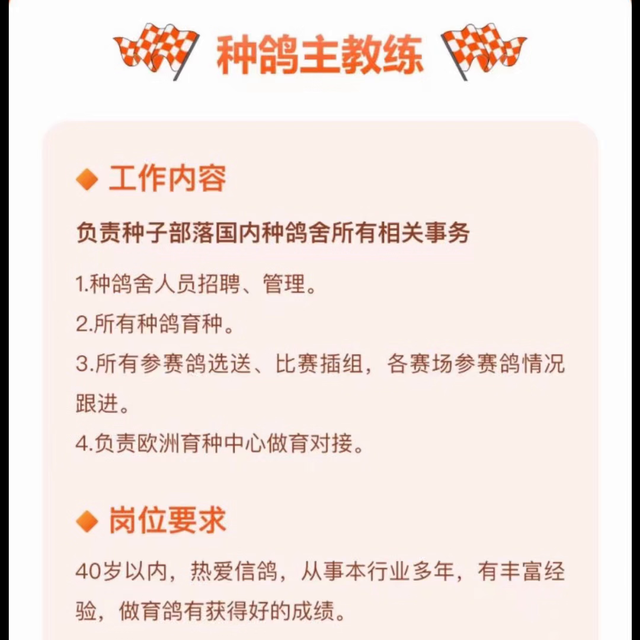 种子部落，湖北总部！欢迎有能力爱好鸽子的你加入！#我负...