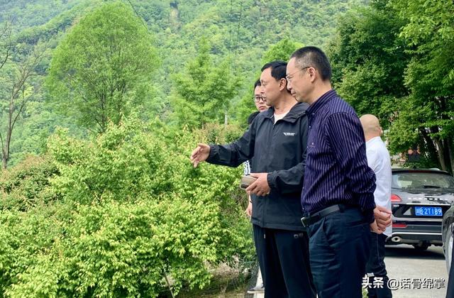 北川黄金树村丨念好“山水经”催开“致富花”