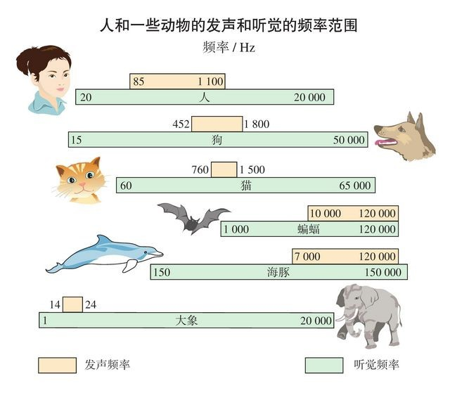 承德2天2次地震，地震前青蛙大规模聚集，这是地震前兆吗？