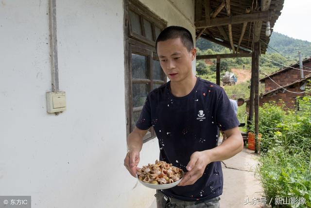 农村小伙回乡承包荒山喂猪，一头猪喂2年600斤出售，因价高年年亏