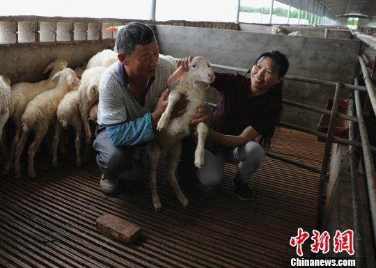 浙江“湖羊之乡”的致富路 循环农业改变贫困