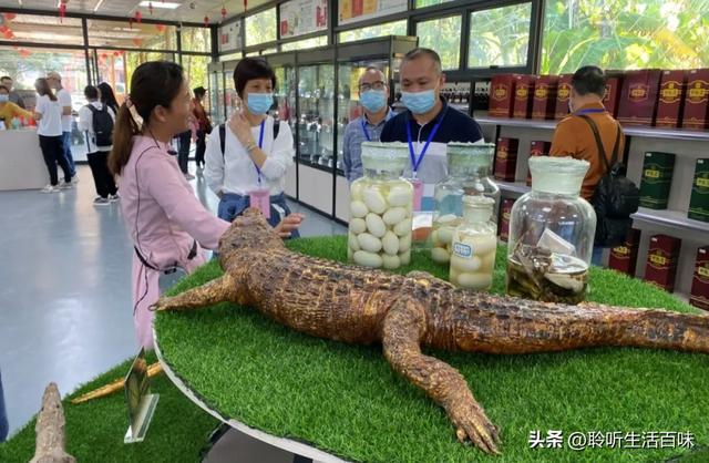 鳄鱼浑身是宝，一头能赚数万元，为何鳄鱼养殖行业竟无人涉足？