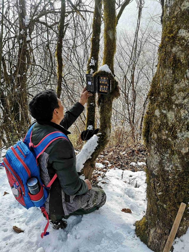 天空地一体化，十万只“眼睛”守护生物多样性