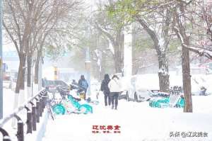 东北养殖大鹅(没有一只鹅能活过冬天，为什么沈阳一下雪就要吃铁锅炖大鹅，香呗)