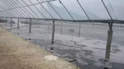 多地再降温！对虾也要穿衣加被，养殖户别让你的虾冻死在变钱路上