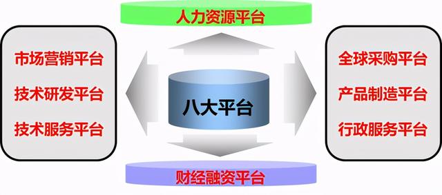 养猪3年进前十，4年进前五，双胞胎是怎么做到的？