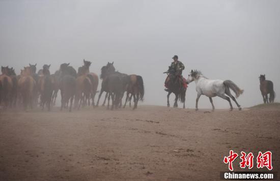 世界第一大马场山丹马场马匹成群奔跑在祁连山下