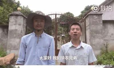 江西华农兄弟竹鼠走红背后的项目金矿